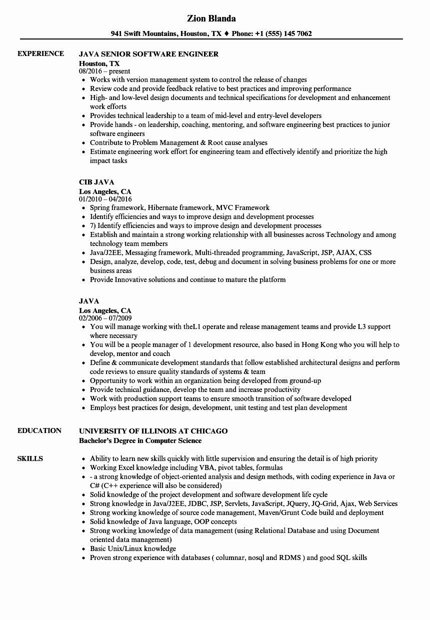10 Years Experience Resume format Awesome Java Resume Samples