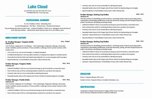 10 Years Experience Resume format Lovely the Best Resume Template Based On My 15 Years Experience