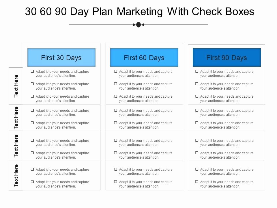 30-100-day-plan-new-job-example-document-template