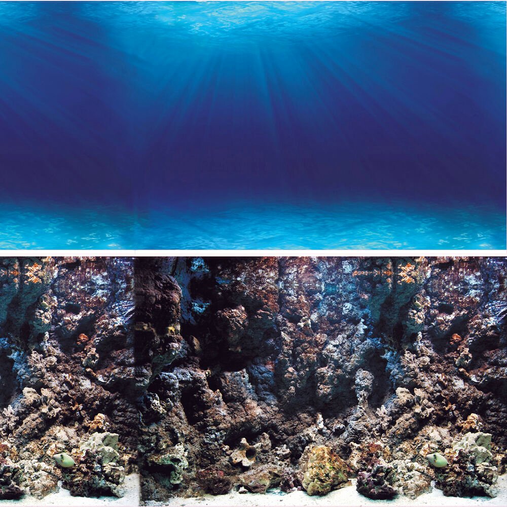 20 Gallon Aquarium Background Awesome Vepotek Aquarium Background Double Side Deep Seabed Coral