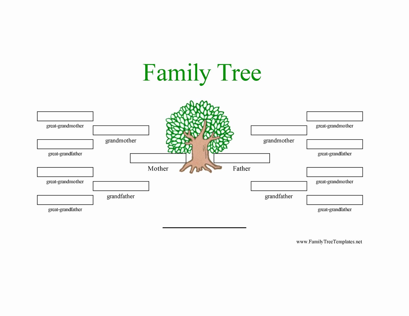 3 Generation Family Tree Elegant Family Tree Template Family Tree Template 3 Generations