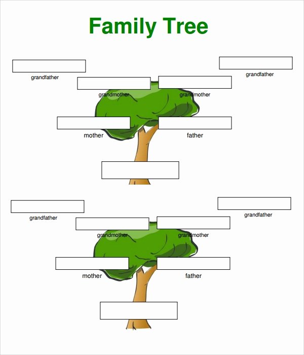 3 Generation Family Tree Fresh Sample 3 Generation Family Tree Template 6 Documents In