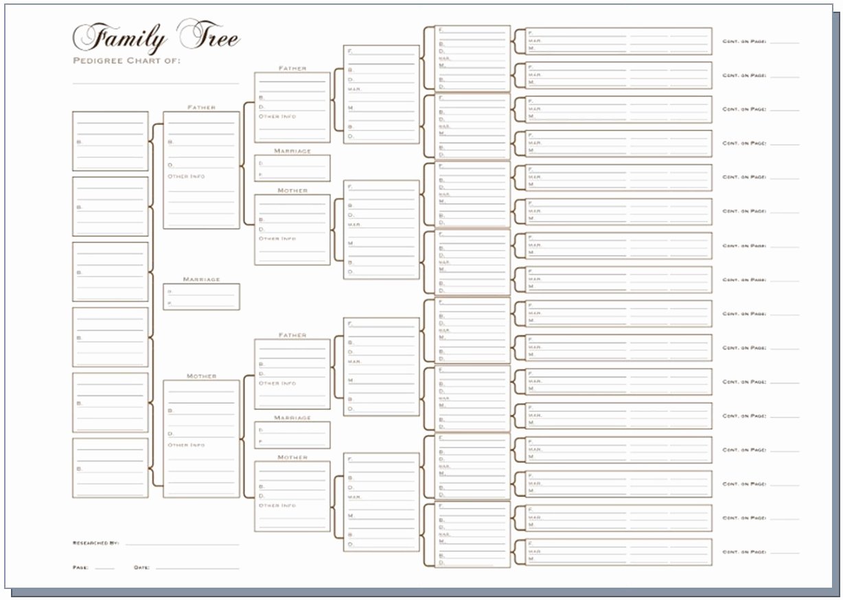 3 Generation Family Tree Luxury A3 Six Generation Pedigree Chart