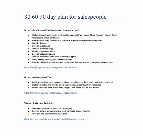 30 60 90 Business Plan Lovely 30 60 90 Day Plan Template 8 Free Download Documents In Pdf