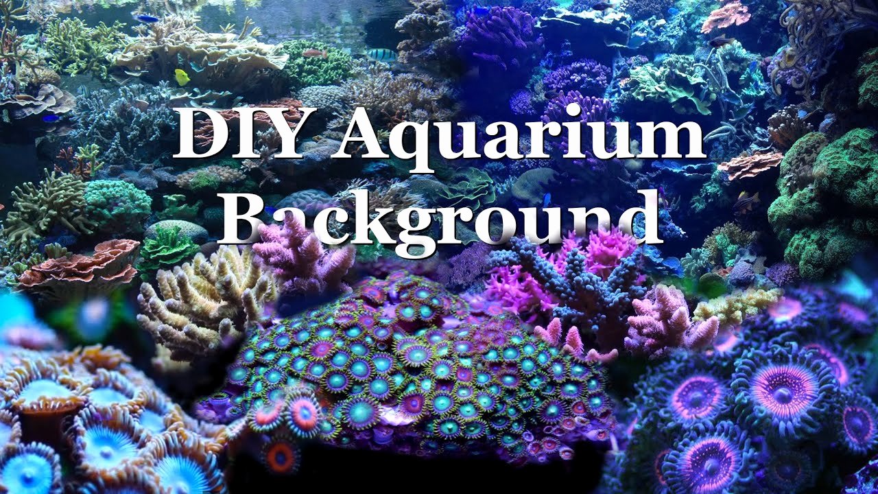 30 Gallon Fish Tank Background Lovely How to Diy Aquarium Background