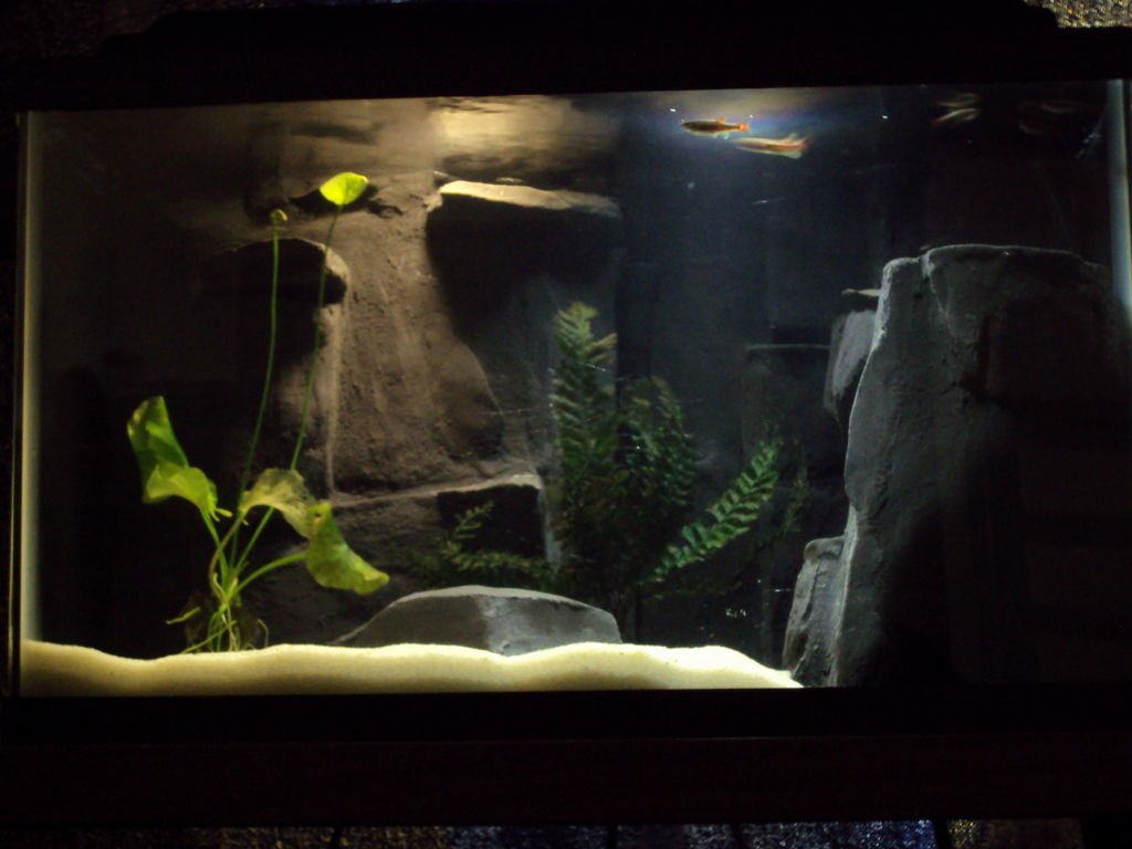 3d Backgrounds Fish Tank Awesome 3d Gun Image 3d Aquarium Backgrounds