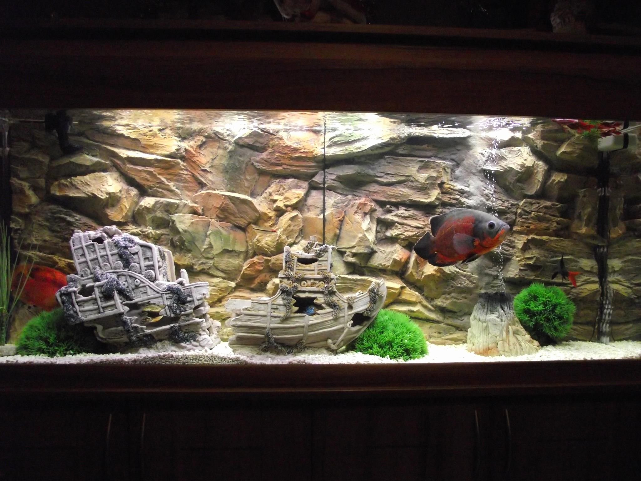 3d Backgrounds Fish Tank Awesome Beige 3d Background Inside Juwel Aquarium Background
