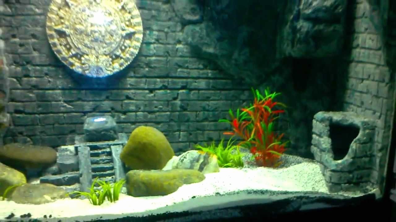 3d Backgrounds Fish Tank Fresh Diy &quot;aztec Mayan&quot; themed 3d Aquarium Background