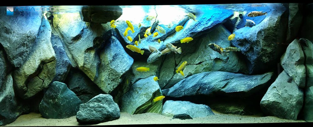 3d Backgrounds Fish Tank Luxury Classic Rocks 3d Aquarium Backgrounds Aquadecor
