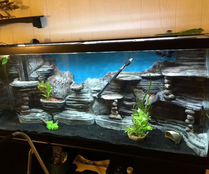 3d Backgrounds Fish Tank New Best 25 Aquarium Backgrounds Ideas On Pinterest