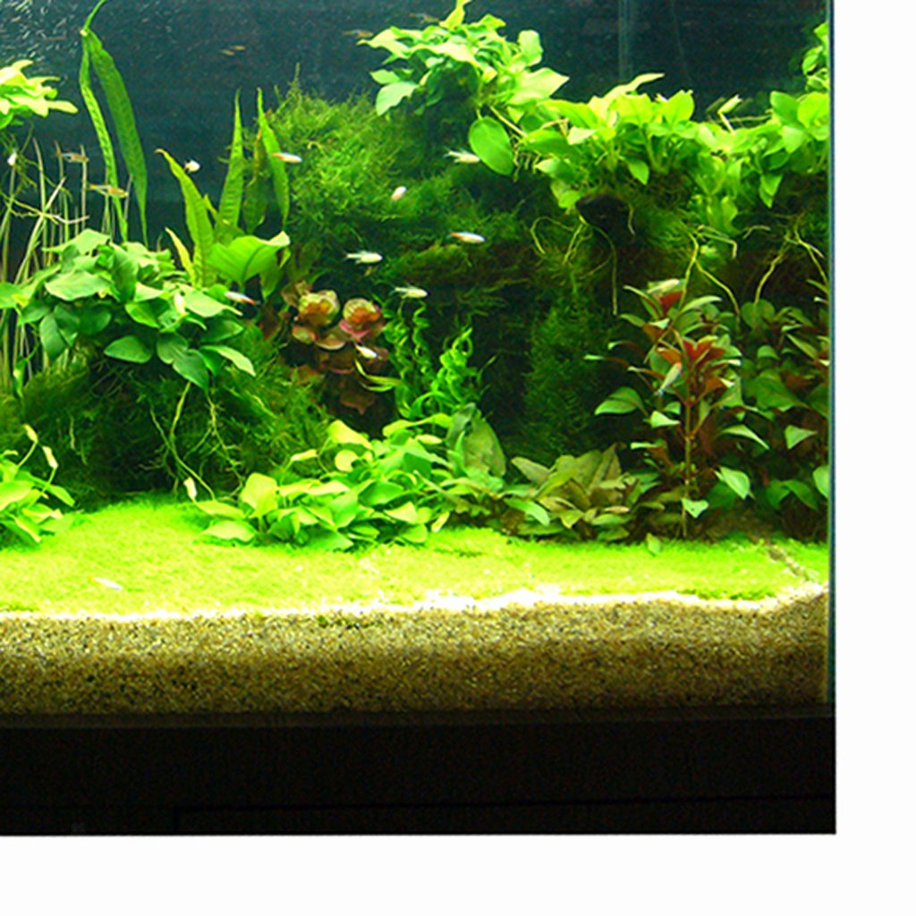 3d Fish Tank Wallpaper Elegant 3d Aquarium Fancy Background Poster Fish Tank Wallpaper