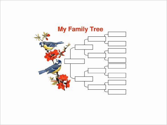 4 Generation Family Tree Template Fresh 4 Generation Family Tree Template – 12 Free Sample