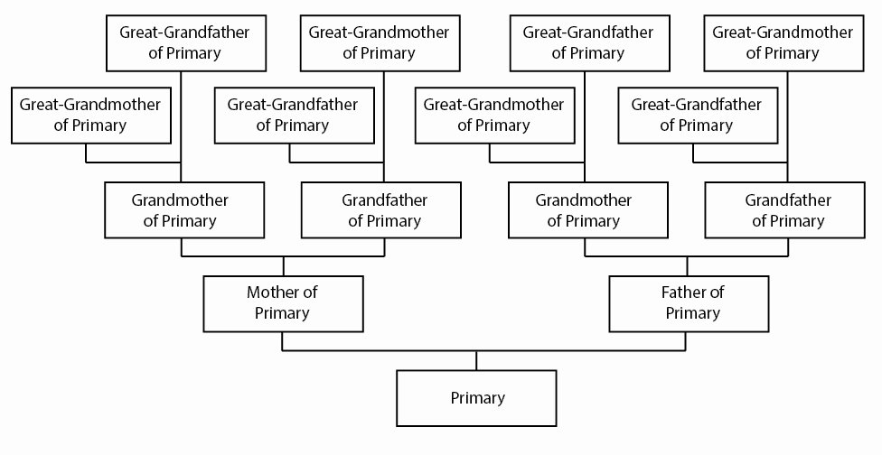 4 Generation Family Tree Template Inspirational 4 Generation Pedigree Chart