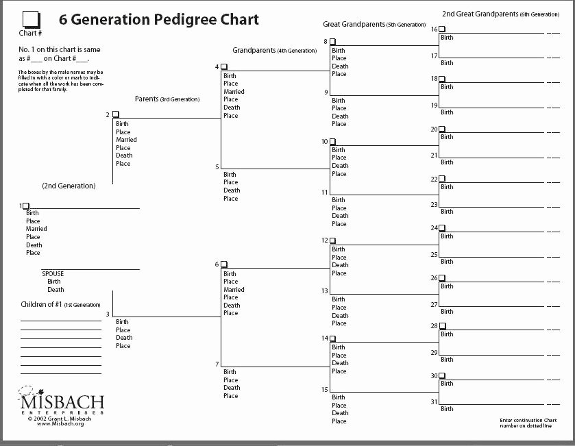 5 Generation Family Tree Fresh 12 Best Of Family Tree Pedigree Chart Worksheet 6