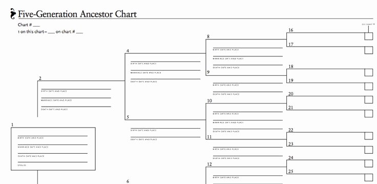 5 Generation Family Tree Unique 106 Best Images About Free Genealogy forms On Pinterest