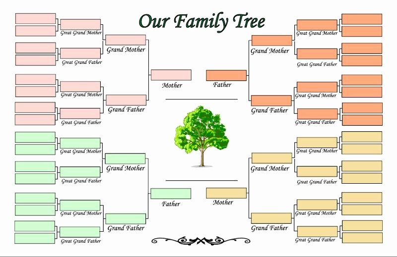 5 Generation Family Tree Unique 5 Generation Family Tree Template Family Tree Template