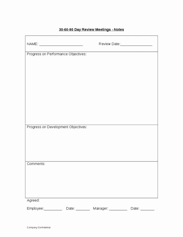 90 Day Evaluation forms Elegant 90 Day Review Template