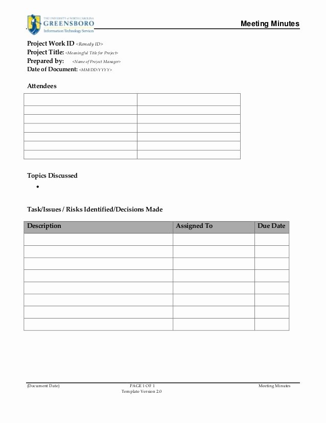 Action Item Template Word Inspirational Project Meeting Minutes Template – Cnbam