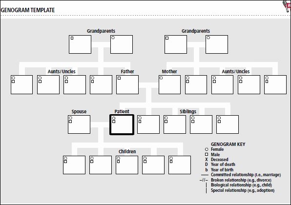 Adoption Family Tree Template Best Of Sample Genogram Template 15 Free Documents In Pdf Word