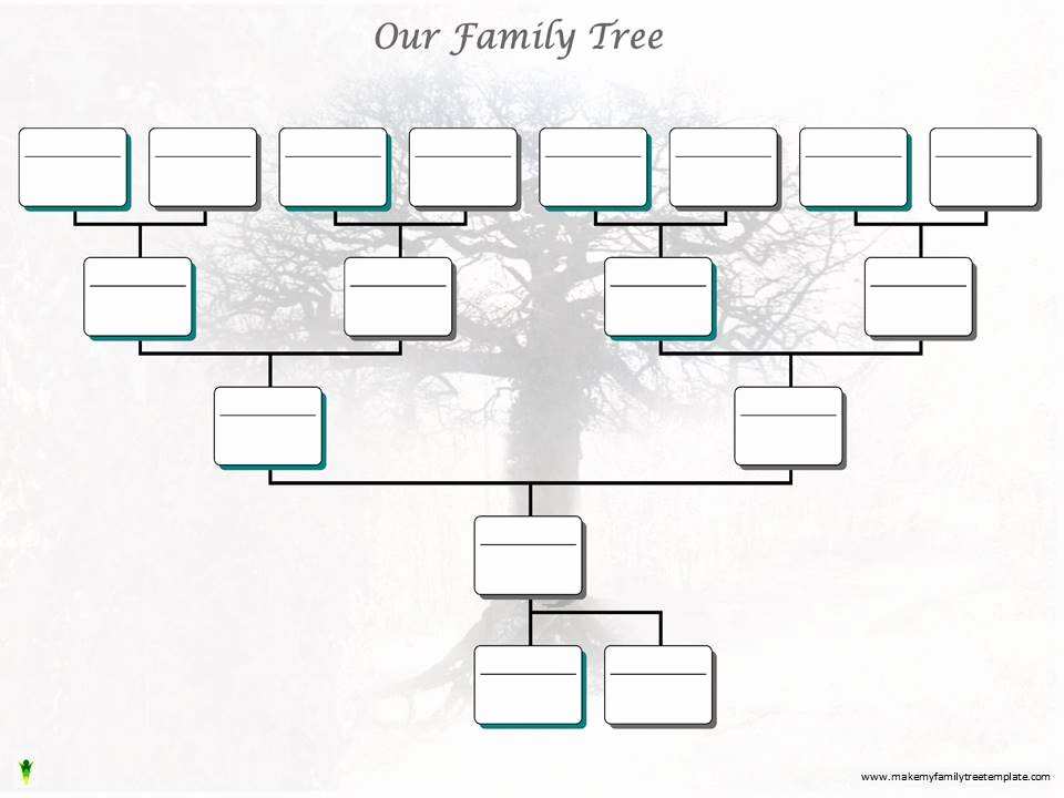 Adoption Family Tree Template Elegant Family Tree for Two Siblings – Ancestry Talks with Paul Crooks