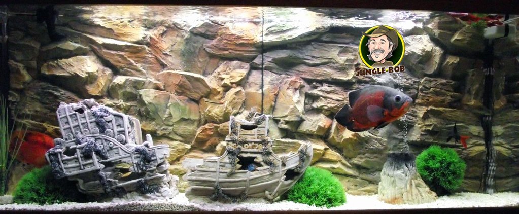 Aquarium Backgrounds 55 Gallon Inspirational Jungle Bob 3d Aquarium Background 48x21 Inch for 55 75