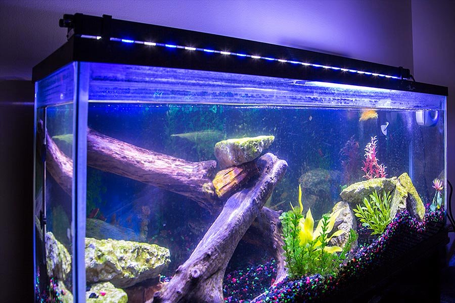 Aquarium Backgrounds 55 Gallon Luxury 46&quot; High Power Led Aquarium Light Fixture