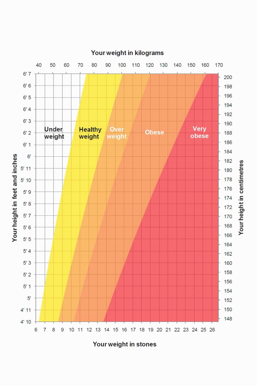 Army Height and Weight Female Lovely This is How Weight Chart for Men Will Look