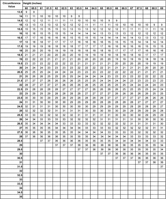 30 Army Weight and Tape | Example Document Template