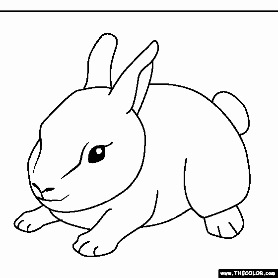 Baby Animal Colouring Pictures Unique Baby Animals Line Coloring Pages