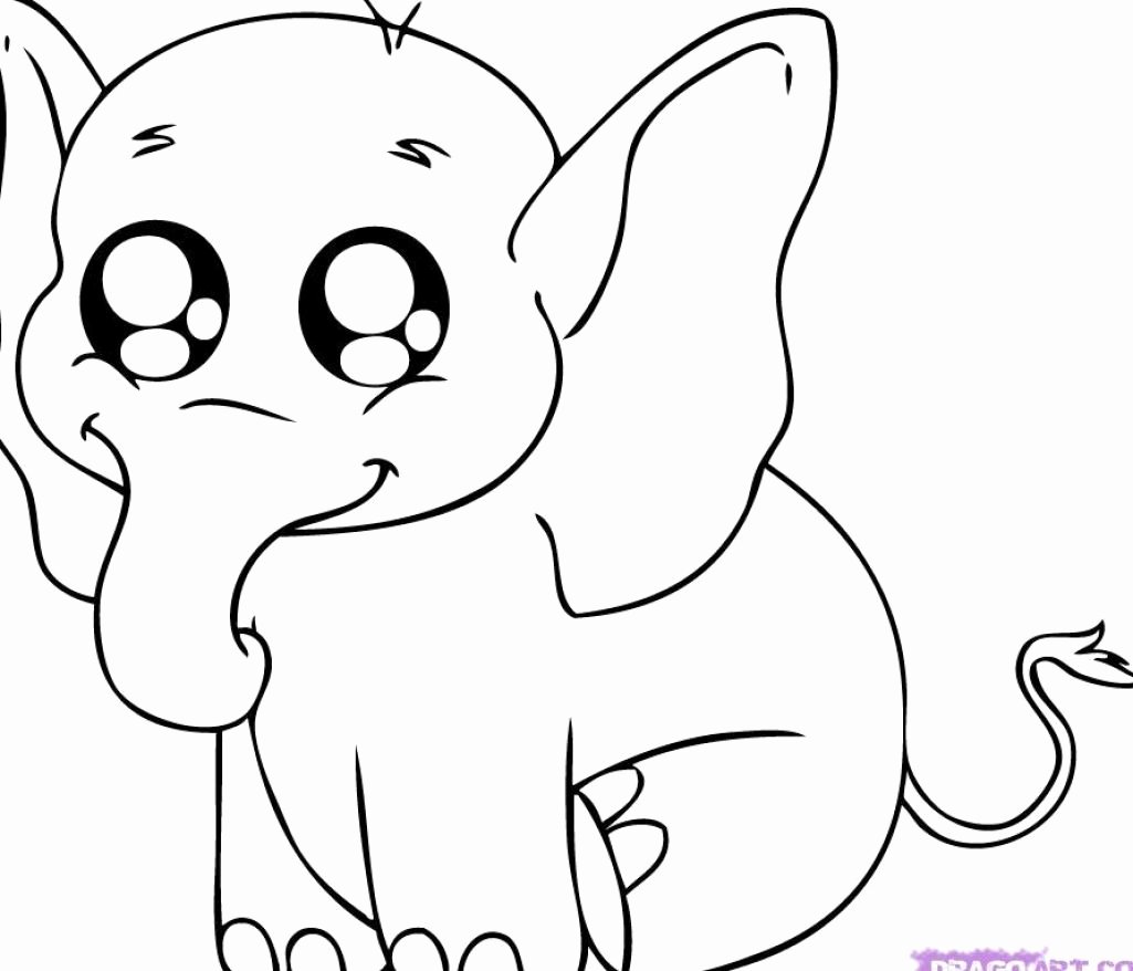 Baby Animals Colouring Pictures Fresh Printable Animal Coloring Pages 13 Sheets