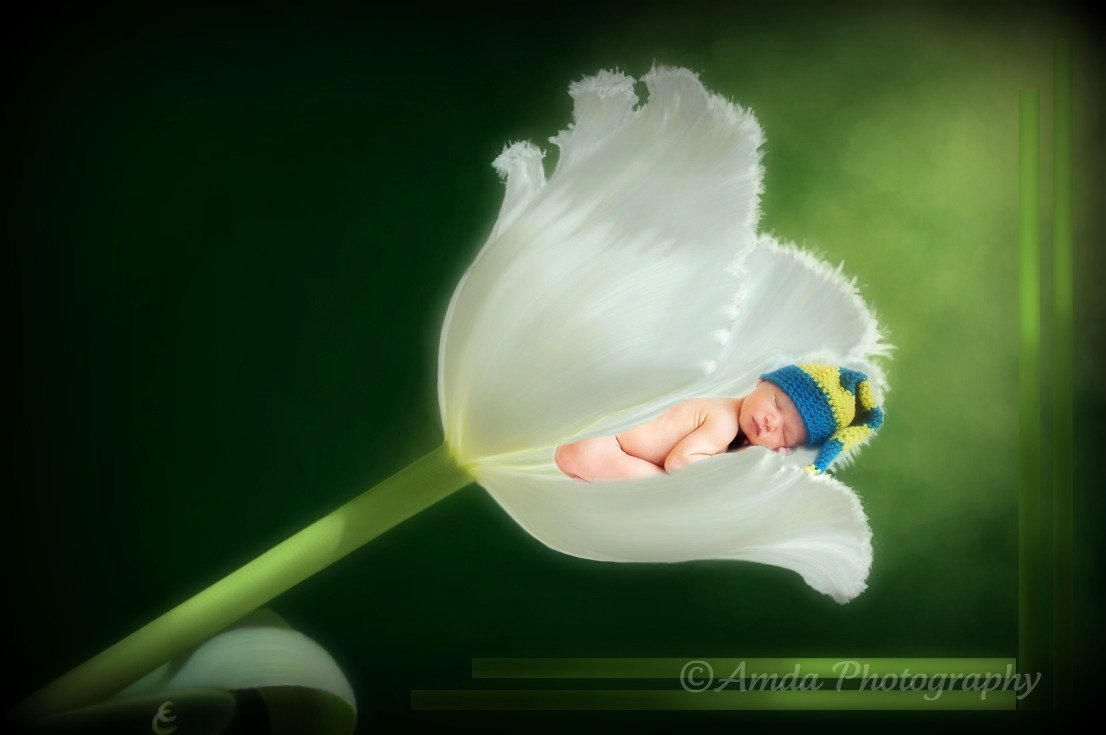 Baby Backgrounds for Photoshop Beautiful the Wallpaper Background for Shop