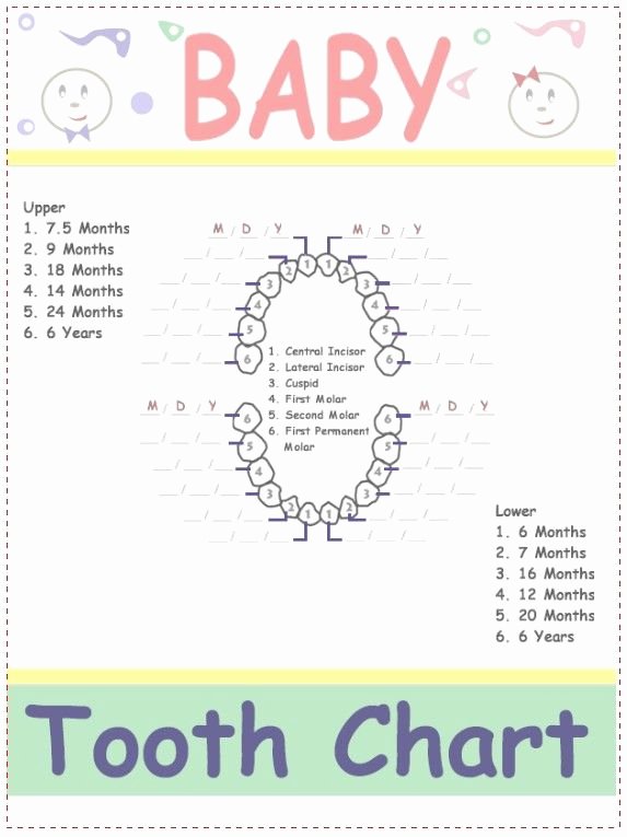 Baby Book Template Pages Inspirational 103 Best Printable Charts Templates forms Images On