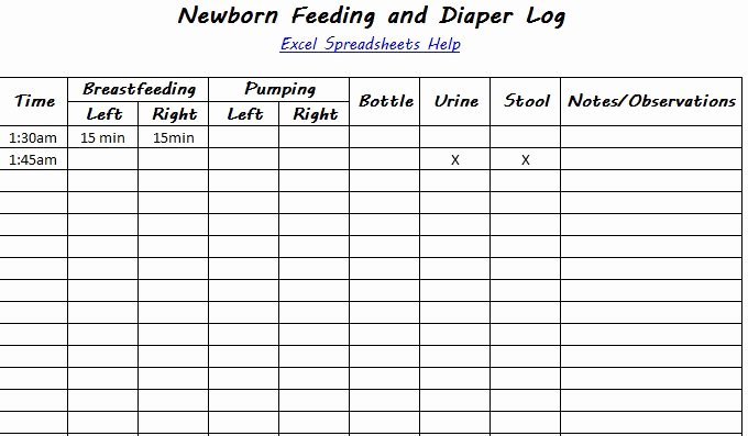 Baby Feeding Log Elegant Newborn Feeding and Changing Log Spreadsheet Template for
