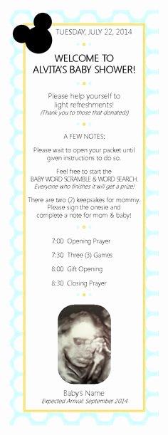 Baby Shower Program Sample Fresh Baby Shower Agenda Bp Program Schedule
