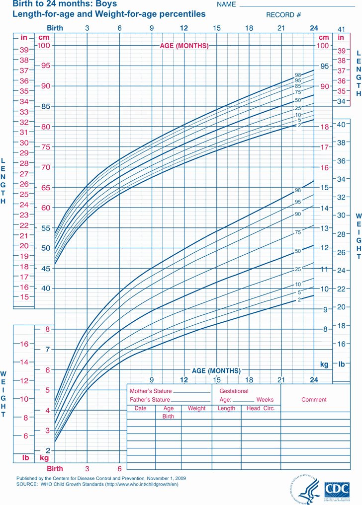 Baby Weight and Length Chart Best Of 4 Baby Growth Chart Free Download