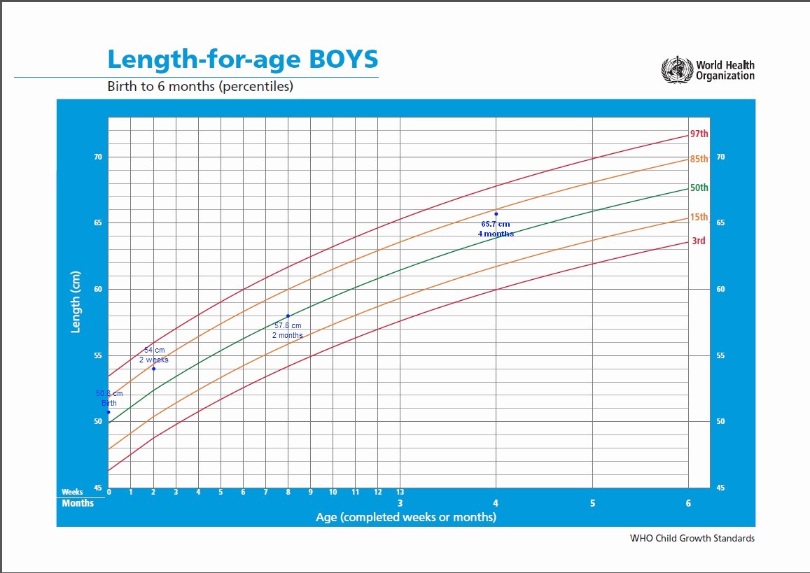Baby Weight and Length Chart Elegant Gryff’s 4 Month Checkup