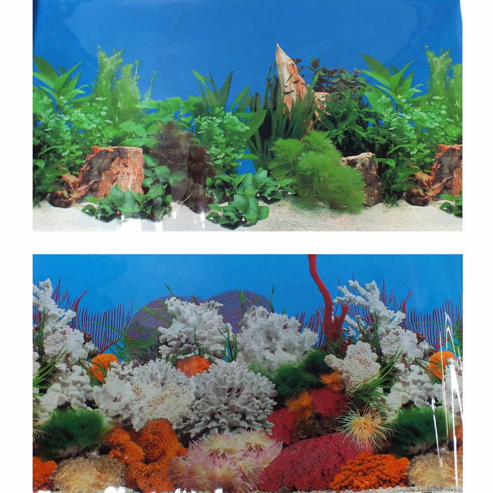 Background for Fish Tank Beautiful 24&quot; 60cm Aquarium Marine Coral Freshwater Planted Fish