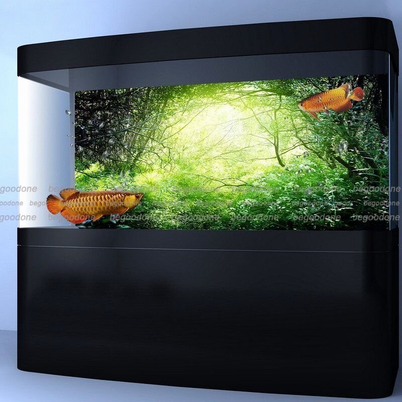 Background for Fish Tank Fresh Green Green forest Aquarium Poster Fish Tank Background Pp