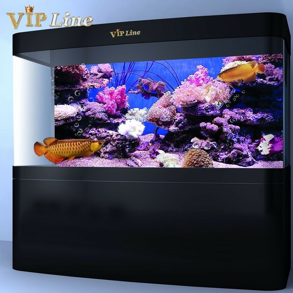 Background for Fish Tank Luxury Coral Hd Aquarium Background Poster Fish Tank Decorations