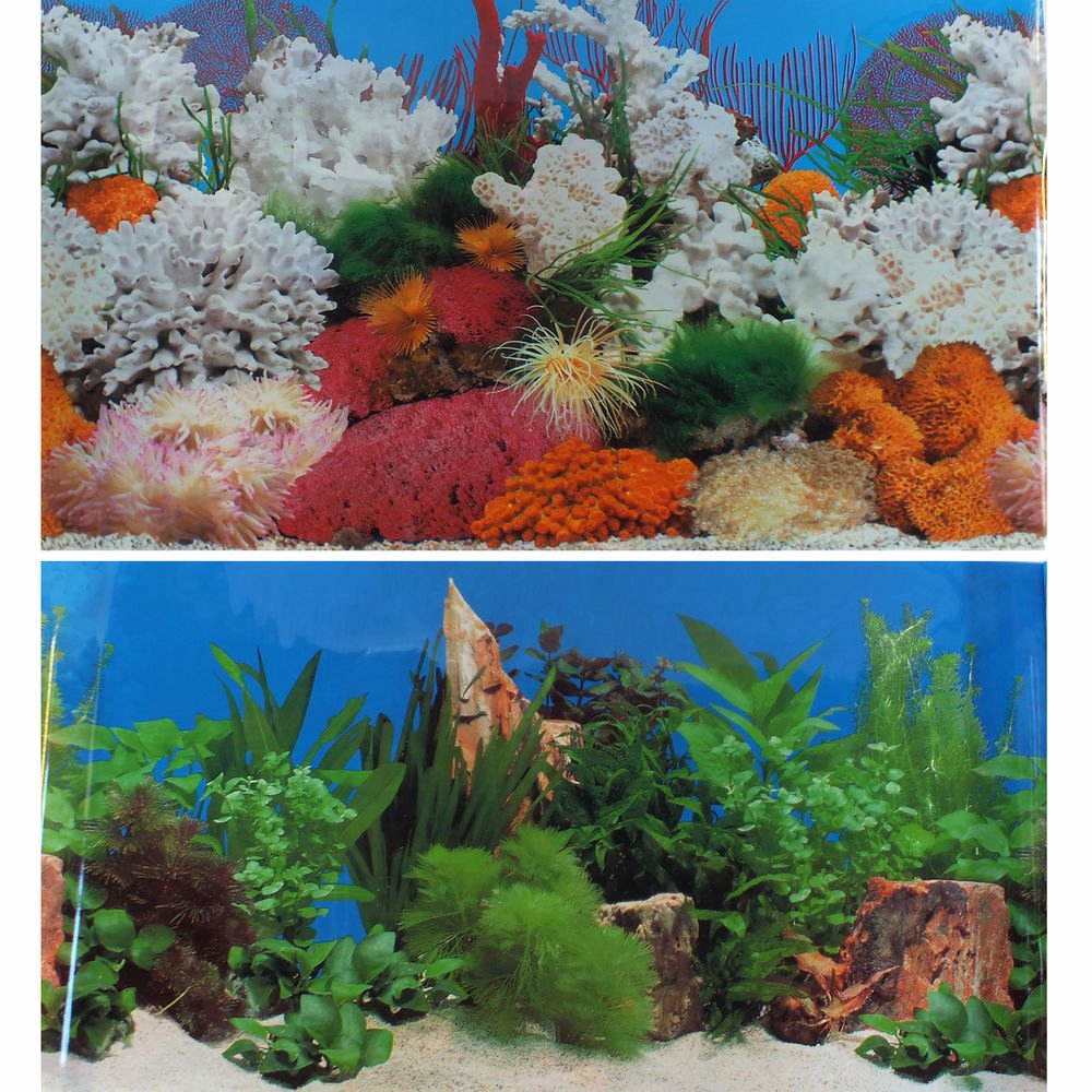 Background for Fish Tank Unique 19&quot; 49cm Aquarium Background Marine Coral Freshwater
