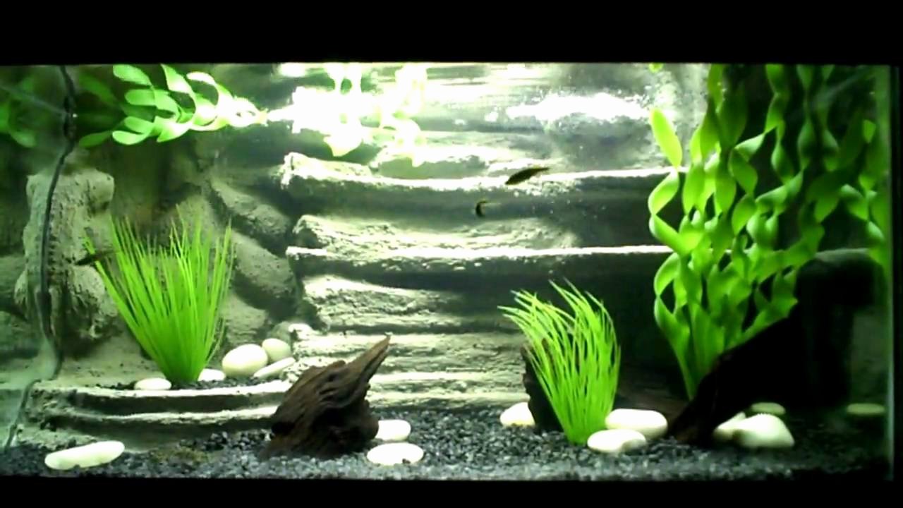 Backgrounds for Fish Tanks Elegant 3d Aquarium Background