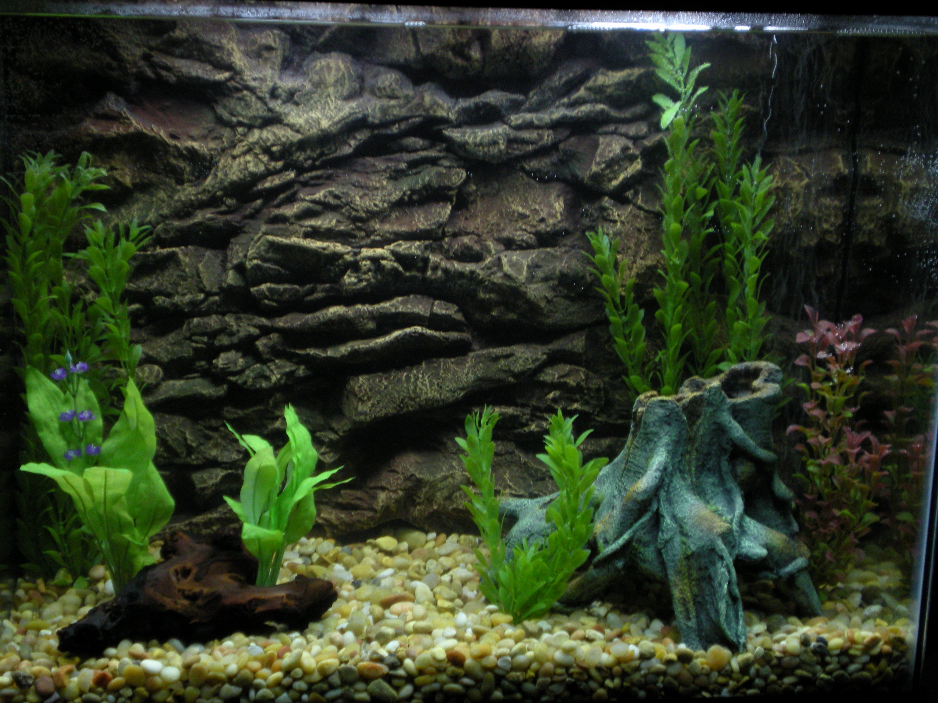 Backgrounds for Fish Tanks Luxury 33 attractive Aquarium Background – Technosamrat