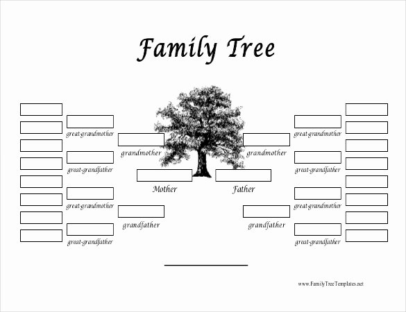 Basic Family Tree Template Beautiful 35 Family Tree Templates Word Pdf Psd Apple Pages