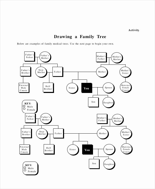 Basic Family Tree Template Luxury Family Tree Template 10 Free Psd Pdf Documents