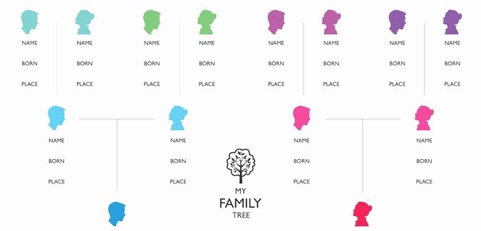 Basic Family Tree Template Unique Family Tree Template Paperzip
