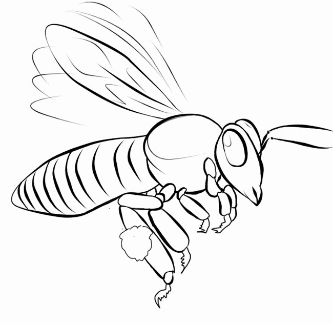 Bee Cut Out Template Best Of Bee Template Animal Templates