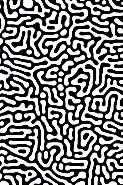 Black and White Designs Art Unique Black and White organic Abstract Pattern