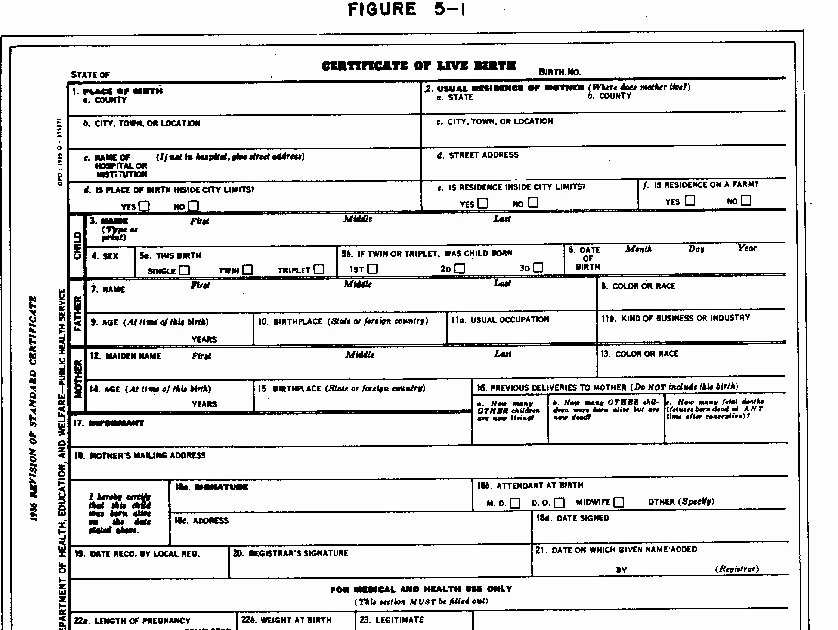 Blank Death Certificate form Best Of the Steady Drip Blank Birth Certificate form Aka Obama