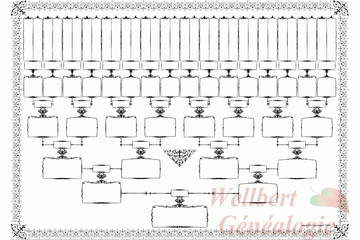 Blank Family Tree Poster Beautiful Printable 6 Generation Pedigree Chart Printable Pages