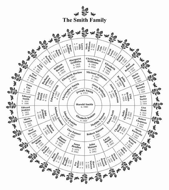 Blank Family Tree Poster Fresh Blank Family Tree Template Blank Family Tree and Family